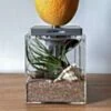 Cocktail kit for Hoob Cube base